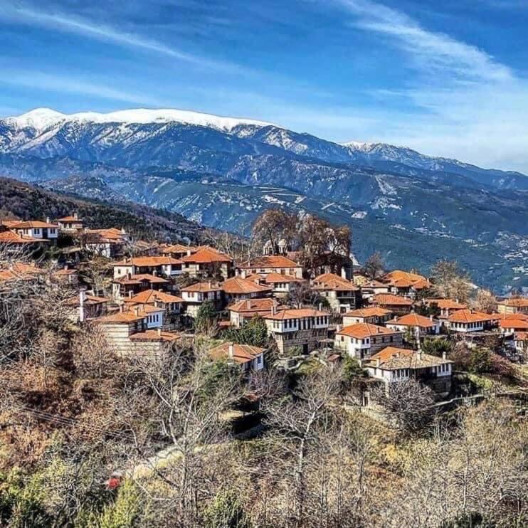 Ξενώνας Τ'Αρχοντικό Palaios Panteleimonas Exteriér fotografie